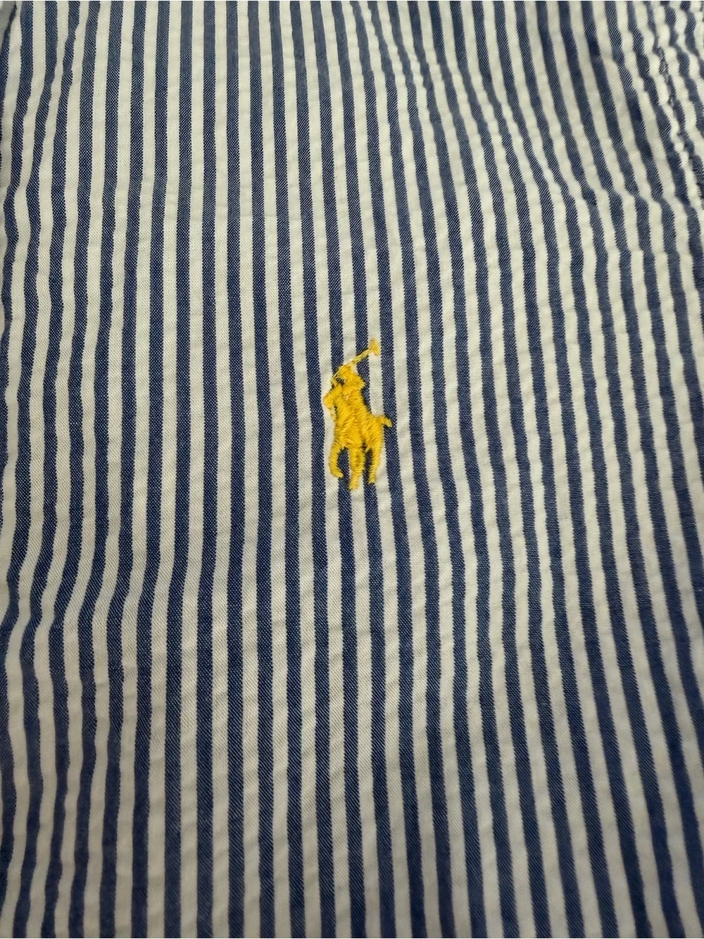 Ralph Lauren Blue and White Striped Short-Sleeve Button-Down Shirt